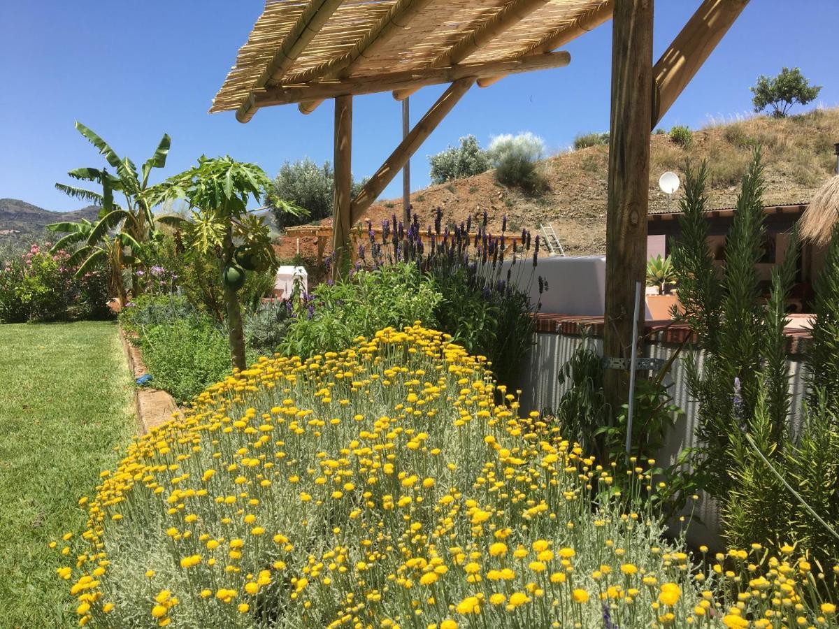Finca Las Hierbas B&B Alora Extérieur photo