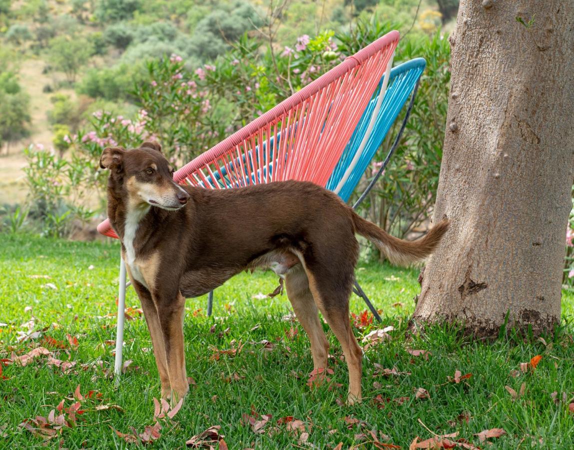 Finca Las Hierbas B&B Alora Extérieur photo